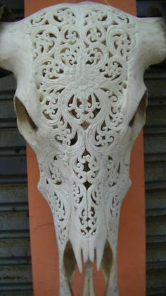 a cow skull with intricate carving on it's face is shown in front of an orange wall