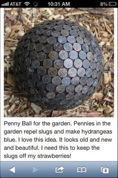 a large metal ball sitting in the middle of some wood mulch with words above it