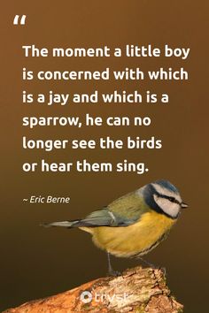 a bird sitting on top of a tree branch next to a quote from eric berne