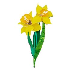 two yellow flowers with green stems on a white background