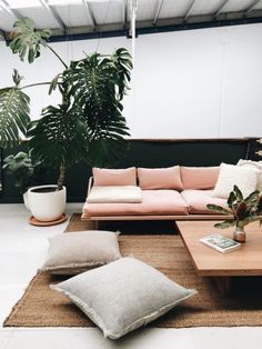 a living room filled with lots of furniture next to a potted plant and window