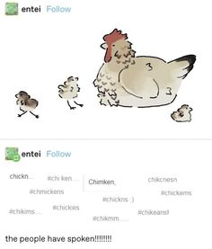 the chicken is walking with its chicks