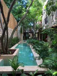 an outdoor swimming pool surrounded by greenery and trees in the middle of a courtyard