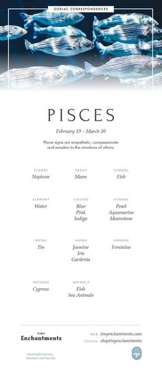 the poster for pisces is shown in black and white, with an image of fish