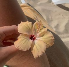 a close up of a person holding a flower in their hand on the sand at the beach