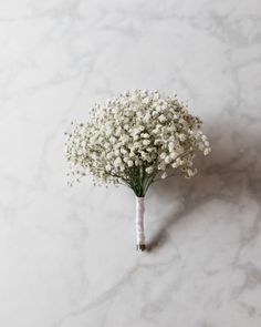 a bouquet of baby's breath on a marble surface