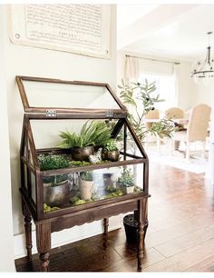 a glass case with plants in it sitting on a table