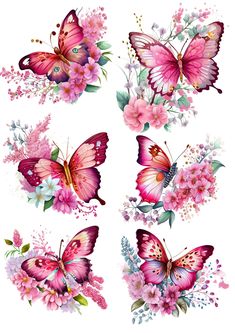 butterflies and flowers on white background with pinks, purples and whitese colors