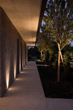 the walkway is lined with trees and bushes at night, along with lights on either side