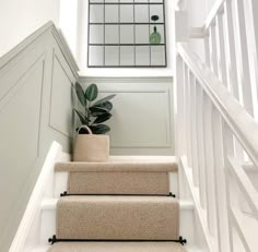 a white staircase with carpeted steps leading up to a mirror and potted plant