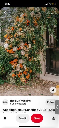 an arrangement of flowers growing on the side of a building