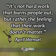 a dragonfly sitting on top of a plant with a quote about it's not hard work that burns people out, but rather than the feeling that their work doesn't matter