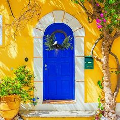 a blue front door with two potted plants next to it on a yellow house