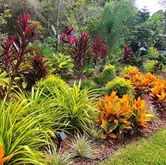 many different types of plants and flowers in a garden with green grass, shrubs and trees