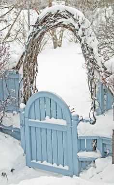 a blue gate is surrounded by snow and trees