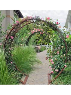 a garden with lots of pink flowers and greenery