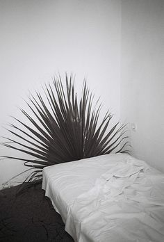 a black and white photo of a bed with a plant on the headboard next to it