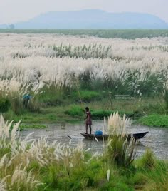 a man standing on top of a small boat in a river surrounded by tall grass