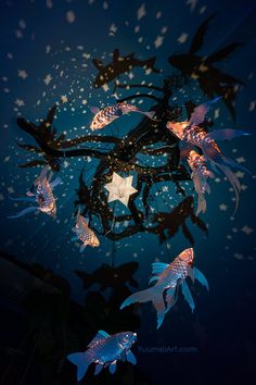 a chandelier with fish and stars hanging from it's sides in the dark