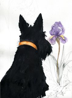 a painting of a black dog with a yellow collar looking at a purple iris flower