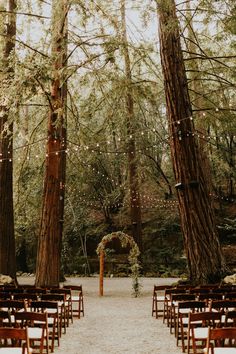 an outdoor ceremony setup with wooden chairs and string lights in the trees, surrounded by greenery