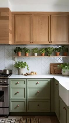 a kitchen with green cabinets and plants on the counter tops, along with a stove top oven