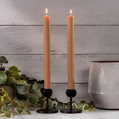 two candles sitting on top of a table next to plants