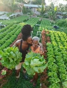 two women standing in a garden with lots of lettuce