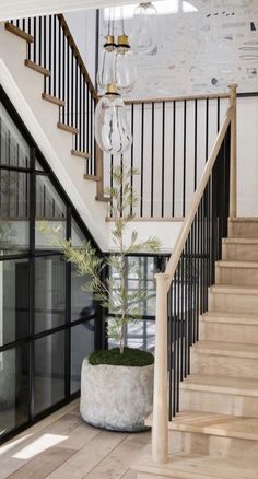 a plant in a pot sitting on the floor next to a stair case with glass doors