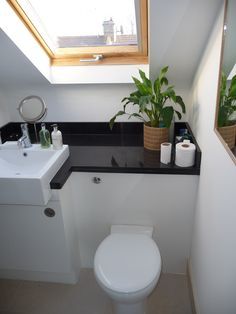 a white toilet sitting under a bathroom window next to a sink and a potted plant