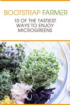 the cover of bootstrap farmer 10 of the fastest ways to enjoy microgreens