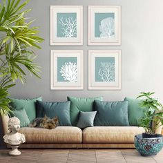 a living room filled with furniture and plants on top of wooden flooring next to wall mounted pictures