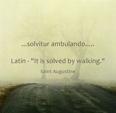 an empty road with a tree in the middle and a foggy sky above it that says, solitur ambulando latin - it is solved by walking