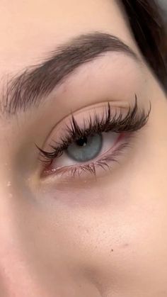 Lash Retention, Classic Makeup Looks, Lash Trays, Lash Supplies, Kardashian Makeup, Lash Extentions, Lashes Fake Eyelashes, Professional Eyelash Extensions, Lash Sets