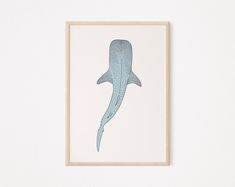 a drawing of a shark in blue on a white wall above a wooden framed object