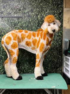 a stuffed giraffe standing on top of a green table next to a wall