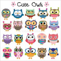 cute owls with different colors and sizes