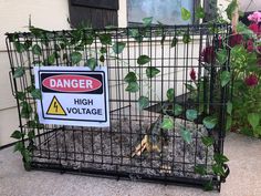 there is a sign that says danger high voltage in front of a caged plant