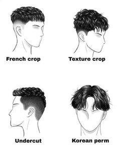 Guys Haircuts Names, Mens Hairstyles Chart, Names Of Mens Hairstyles, Names Of Haircuts Men, Mens Haircut Diagram, Korea Hairstyle, Haircut Straight Hair, Mod Cut, Long Wolfcut Haircut