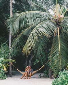 two people sitting on a hammock in the middle of palm trees, with one person taking a selfie