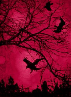 two birds are flying in the sky near some tree branches with bats hanging from them