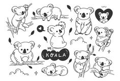 koalas and other animals are drawn in black ink