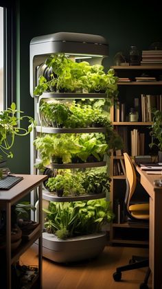 an indoor garden is growing lettuce in the corner of a home office area