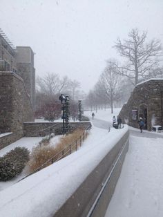 people walking in the snow on a snowy day