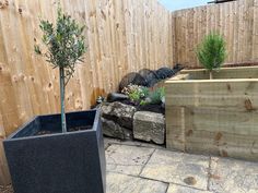 there is a small tree in the middle of this backyard garden with rocks and plants