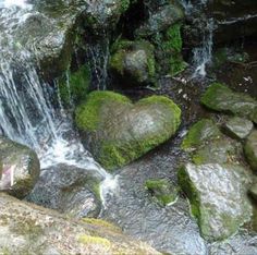 the rocks are covered in moss and have heart shaped stones on them, along with water running over them