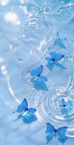 several blue butterflies floating in water with ripples