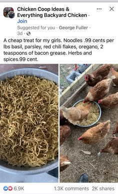 the chicken is eating out of the bowl on the left, and another photo has noodles in it