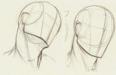 a drawing of the head and shoulders of a woman's head, from front to back