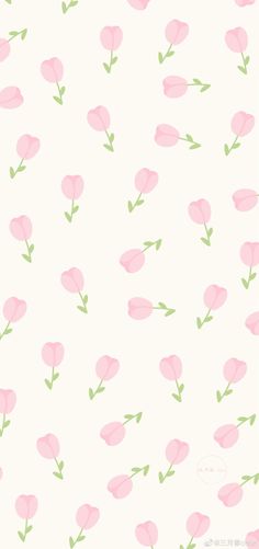 pink flowers with green leaves on a white background